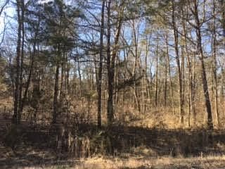 1st image of 4769 Wildberry Ln Lot 3