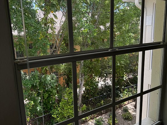 Wooded view from Living Room window