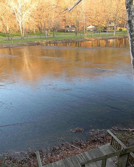 Creek view