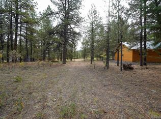 136 Elk Meadow Run, Antonito, CO 81120