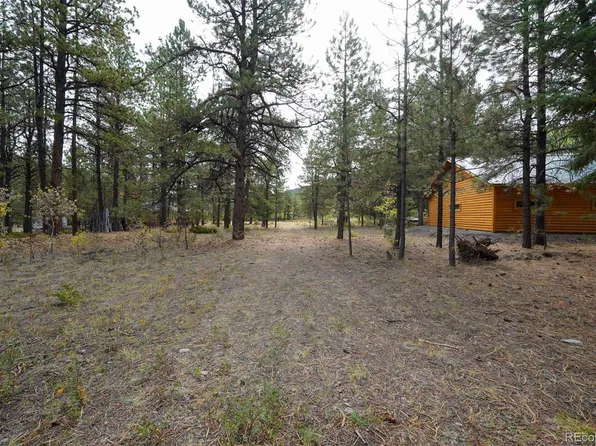 136 Elk Meadow Run, Antonito, CO 81120