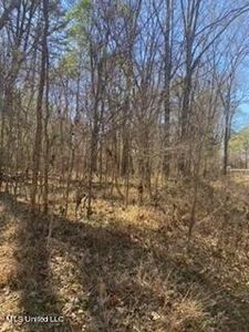 Vance Dr #1, Raymond, MS, 39154