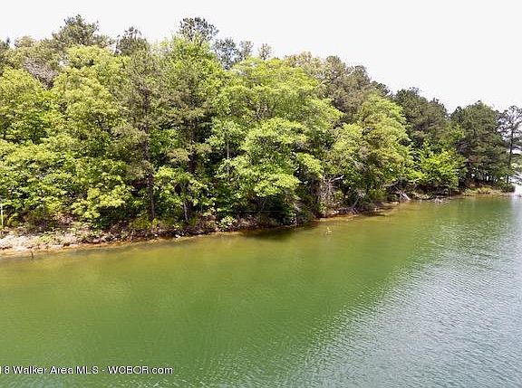 3rd image of LOT 107 Stoney Pointe Lndg Lot 107
