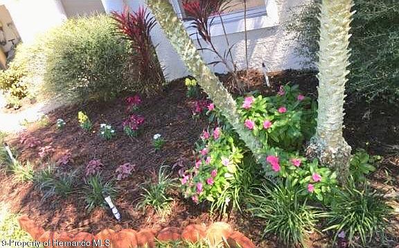 5th image of 3806 Judson Dr