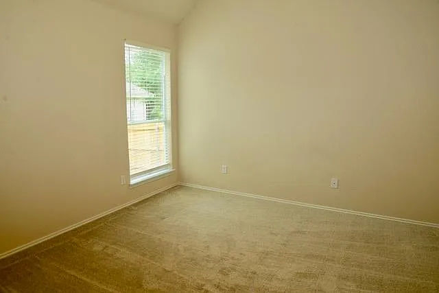 138 Chestnut Ct — Photo 23