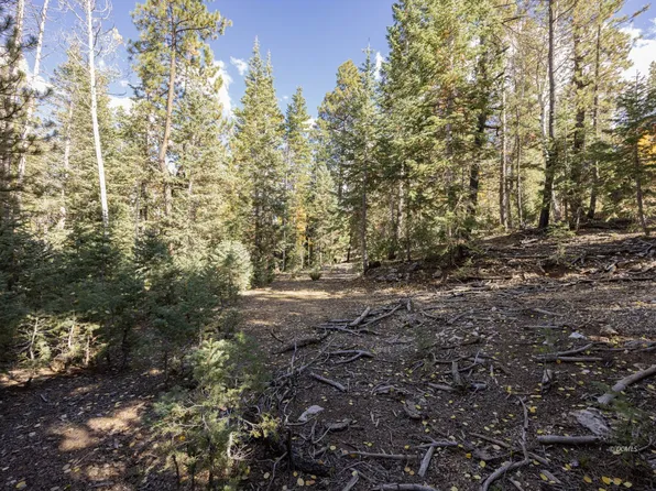 1815 E Beech Craft Dr, Duck Creek Village, UT 84762