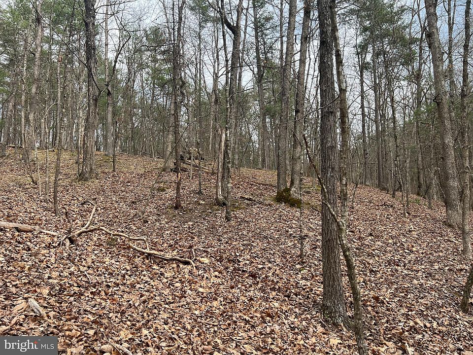 1st image of 67 Dogwood Dr S