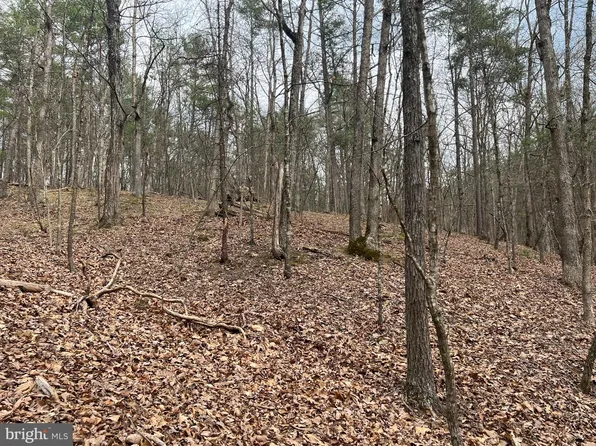 67 Dogwood Dr S, Basye, VA 22810