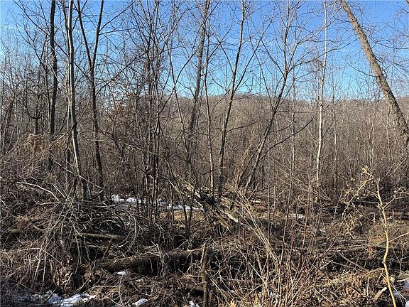 4th image of XXX County Rd D