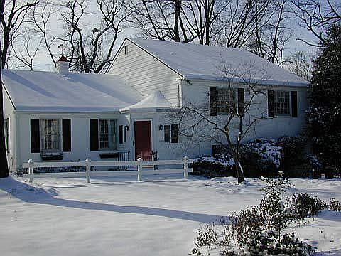 Winter Scene