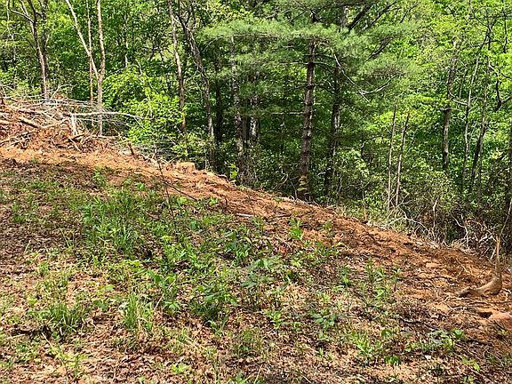 4th image of 431 N Star Ln