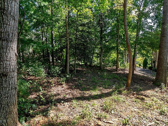 3rd image of 16 Mountain Orchid Way #Cwc