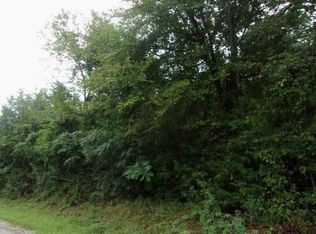 0 Sandy Creek Rd #31, Flovilla, GA 30216