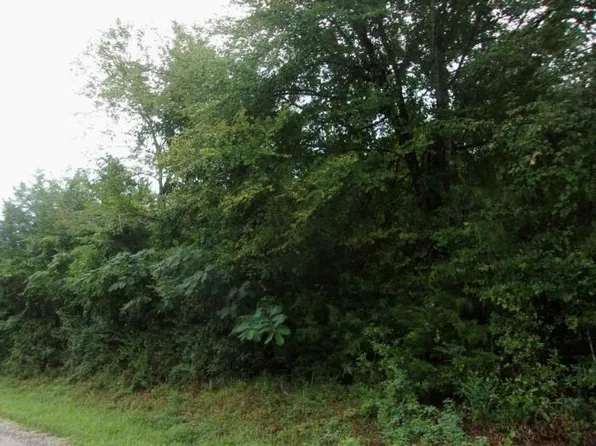 0 Sandy Creek Rd #31, Flovilla, GA 30216