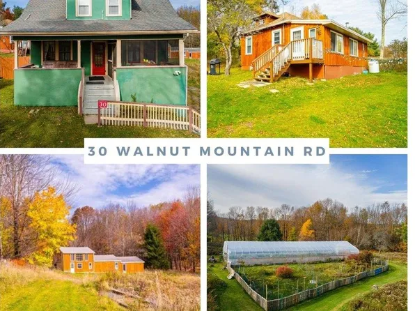 30 Walnut Mountain Road, Liberty, NY 12754