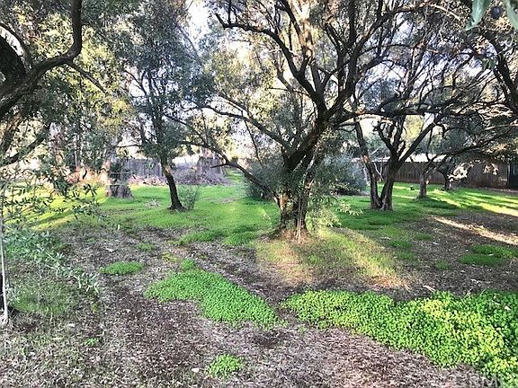 4th image of 318 Table Mountain Blvd