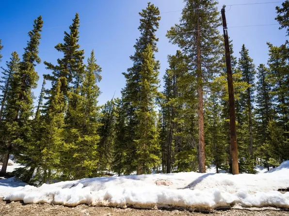 318 El Lobo Ln, Fairplay, CO 80440