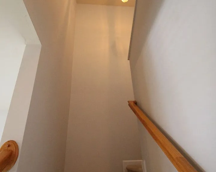 7309 Sun Dance Dr — Photo 20