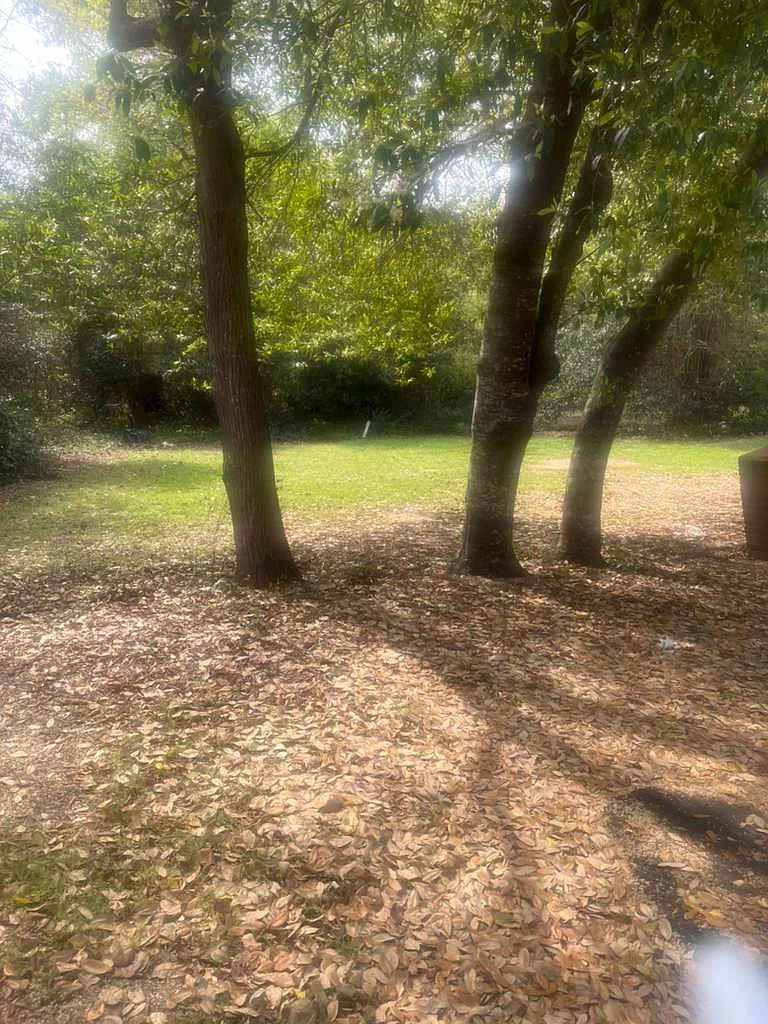 Studio, 700 sqft, $550 — Photo 1