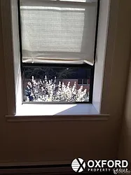 Rented by Oxford Property Group