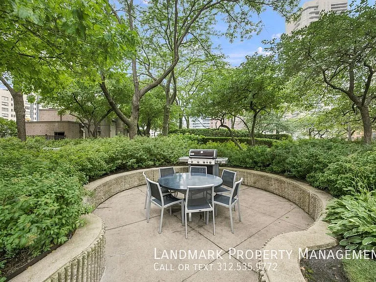 10 E Ontario St #4908 — Photo 48