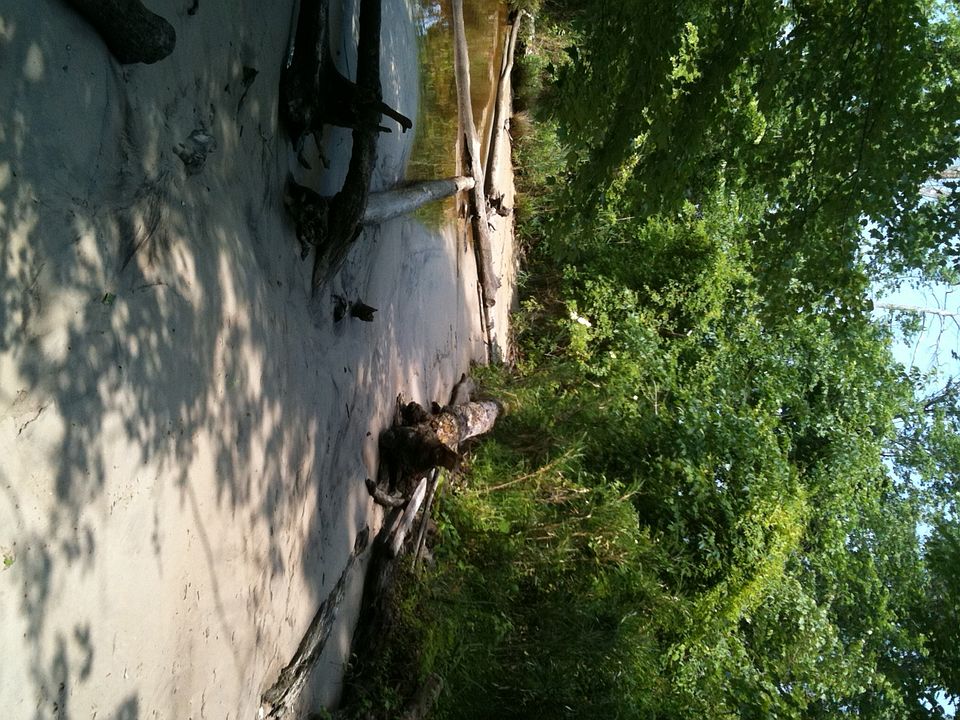 2nd image of 1736 Mount Pleasant Rd