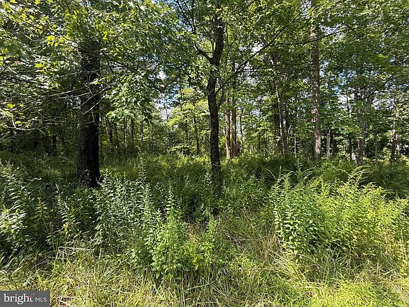 3rd image of LOT Fishing Creek Valley Rd