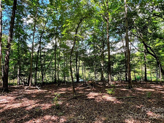 4th image of LOT 6 Three Lakes Trl