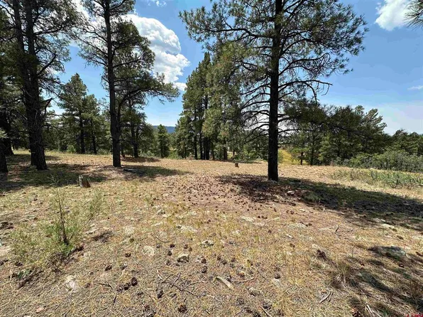 96 Woodridge Circle, Pagosa Springs, CO 81147