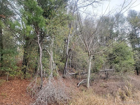 2nd image of 0 Pleasant Hill Rd