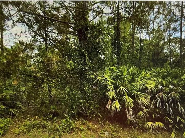 (undisclosed Address), Lehigh Acres, FL 33972