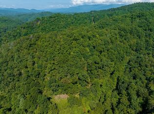 267 Dark Branch Rd #11, Bryson City, NC 28713