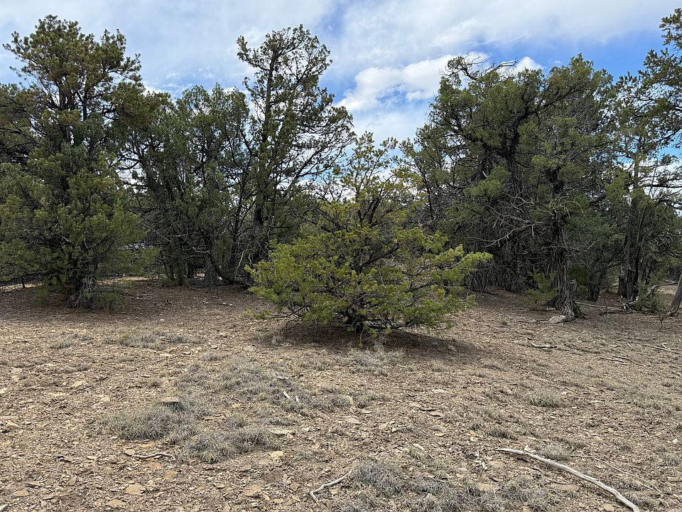 1st image of Pinon Rdg