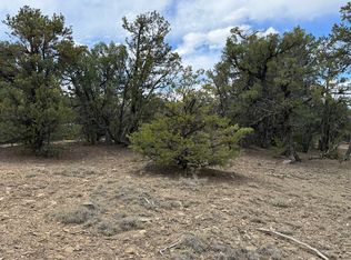 Pinon Rdg, Los Ojos, NM 87551