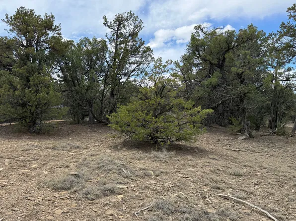 Pinon Rdg, Los Ojos, NM 87551