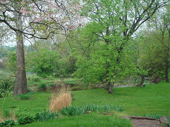 Backyard view...level and lovely