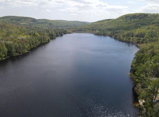 331 Stocker Pond Rd, Grantham, NH 03753