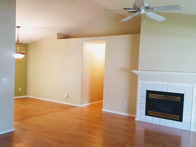 Living room and dining area