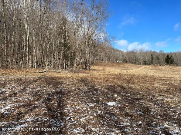 Tbd Todd Mountain Road, Arkville, NY 12406