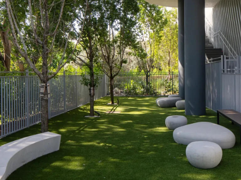 Avara — Photo 36