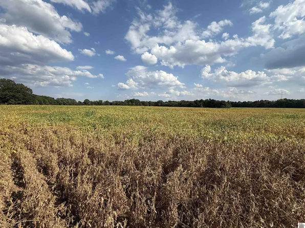 0 Magness Rd, Hardin, KY 42048