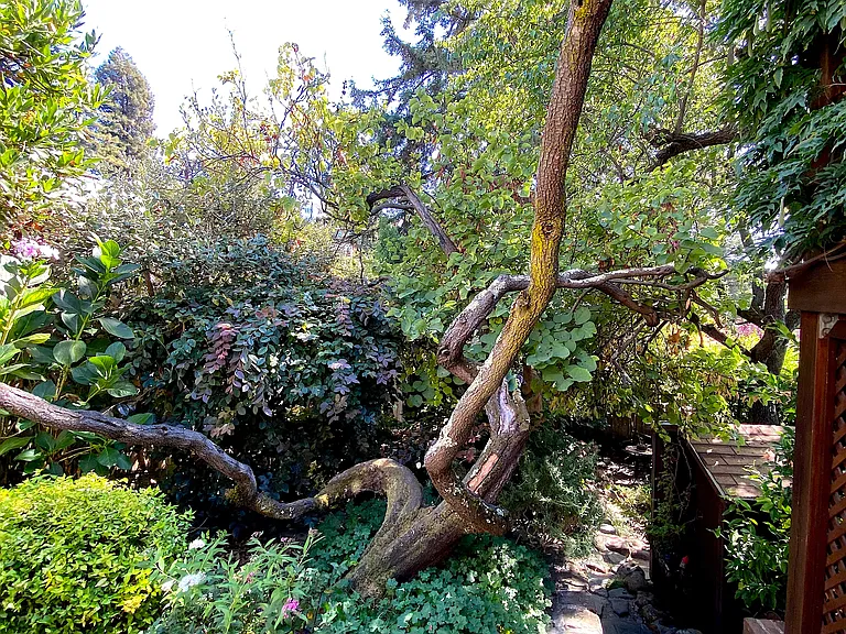 5830 Mendocino Ave — Photo 55