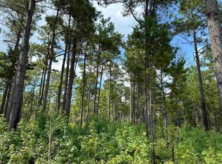 Highway 521, Salters, SC 29590