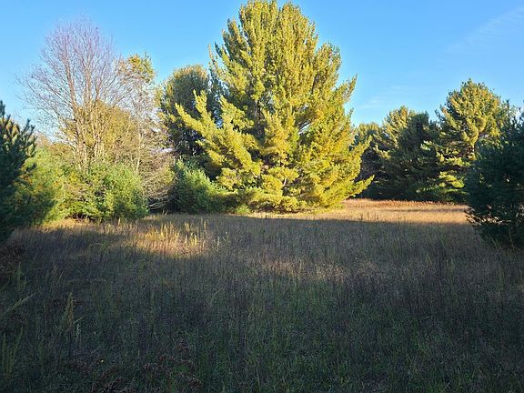 4th image of 10 Vl Betsie River Rd