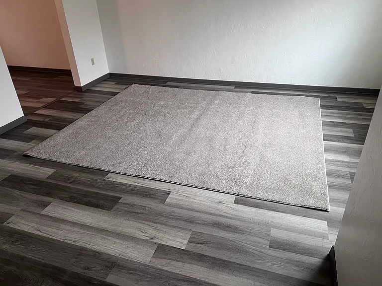 New living room floor