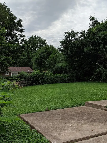 Thumbnail 19