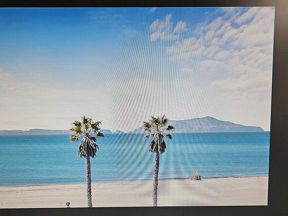 3rd image of 271 S Ventura Rd Unit 299