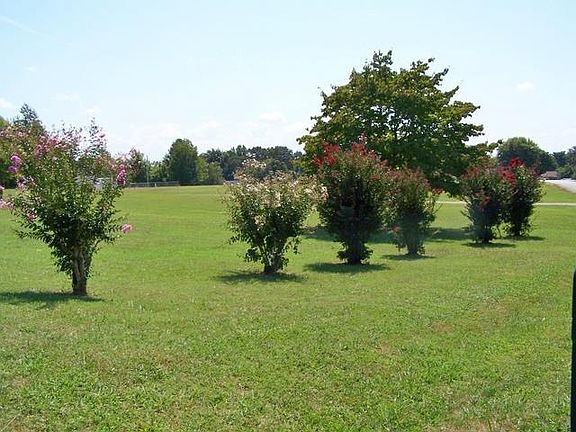 Extra lot for total 1 AC