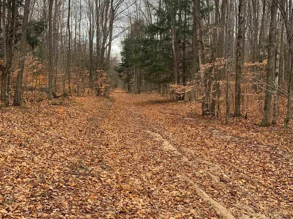 Near Stark Rd, Mancelona, MI 49659