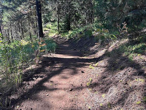 5th image of 5541 Lupine Ln
